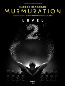 Murmuration Level 2 — Roubaix Murmuration Level 2 — Roubaix