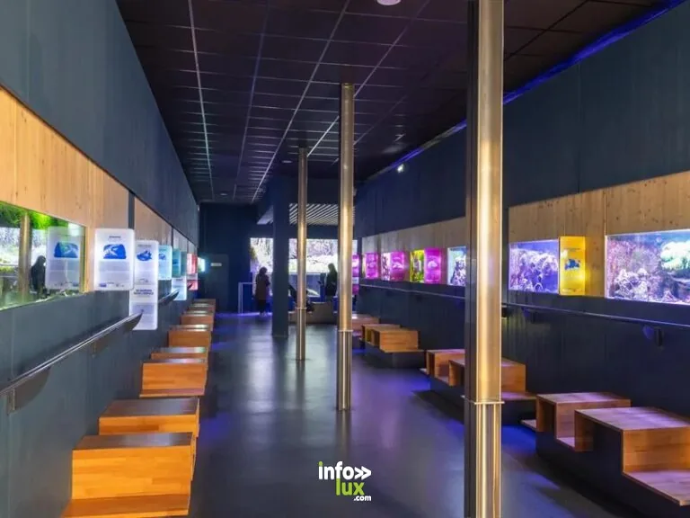 Séjour à Nancy et en Lorraine : programme jour par jour, budget et planificateur gratuit (2026)