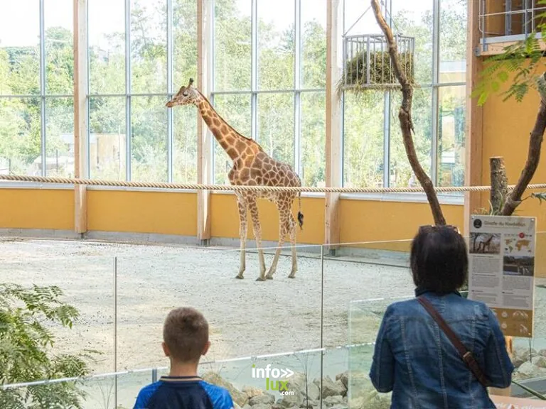 Parc zoologique et botanique (Mulhouse)
