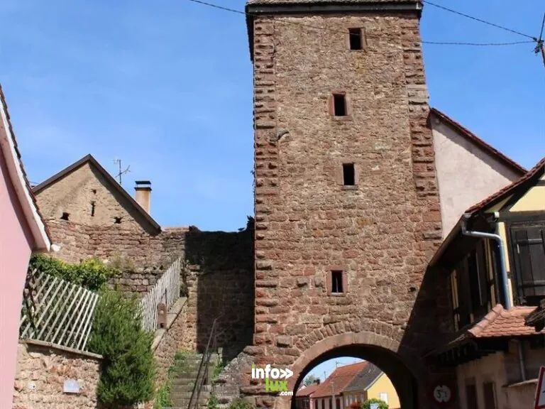 Strasbourg et l’Alsace du Nord en famille : 3 jours d’activités avec les enfants et le budget (2026)