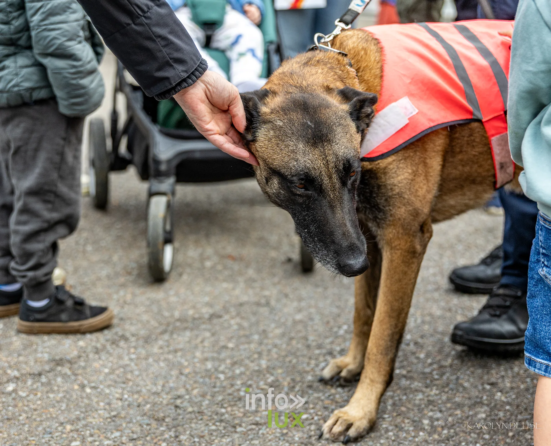 Portes ouvertes des pompiers de Nivelles, 27 septembre 2026 : Un chien de la police aux portes ouvertes