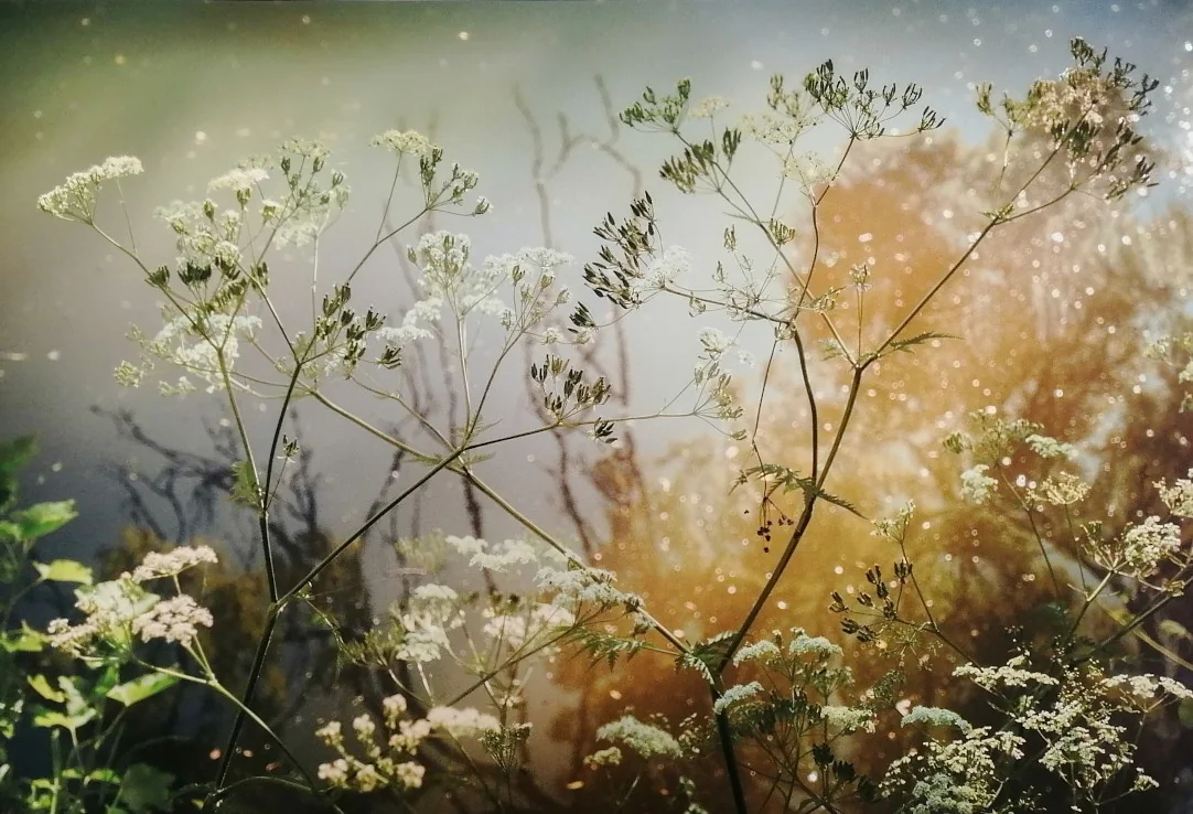 Œuvre de Marianne Grooteclaes pour l’exposition « Réflexions » à l’Espace Beau Site d’Arlon