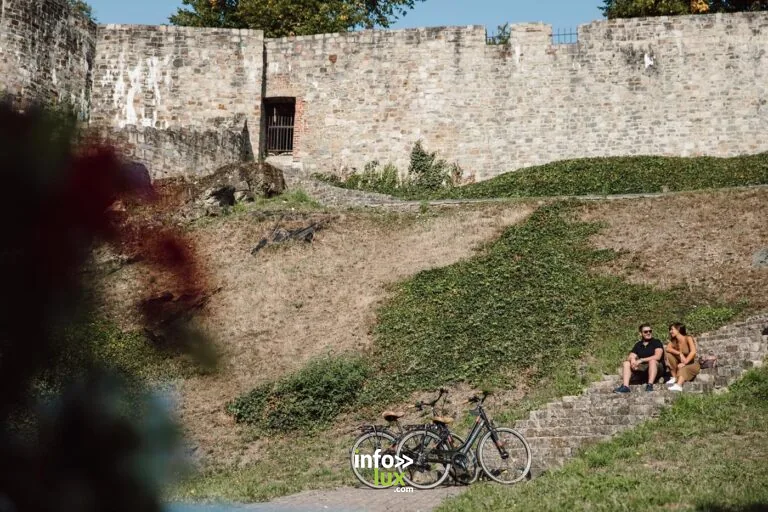 Remparts de Binche (Binche)