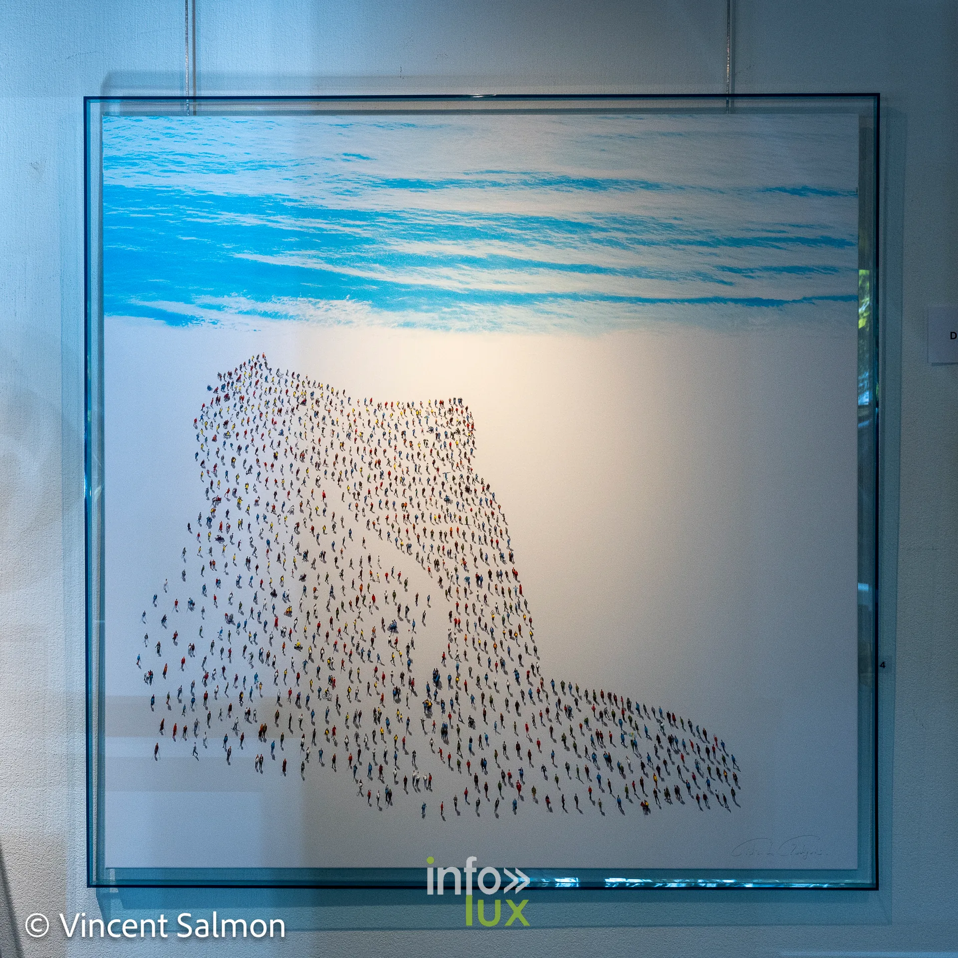Salon Découvertes, Galerie Liehrmann, Liège, 2026 : Œuvre de Didier de Radiguès (photo Vincent Salmon)