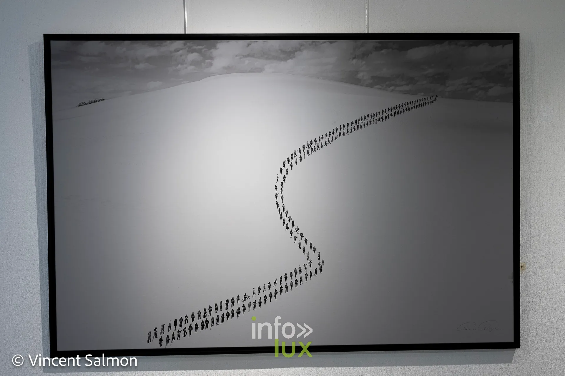 Salon Découvertes, Galerie Liehrmann, Liège, 2026 : Œuvre de Didier de Radiguès (photo Vincent Salmon)