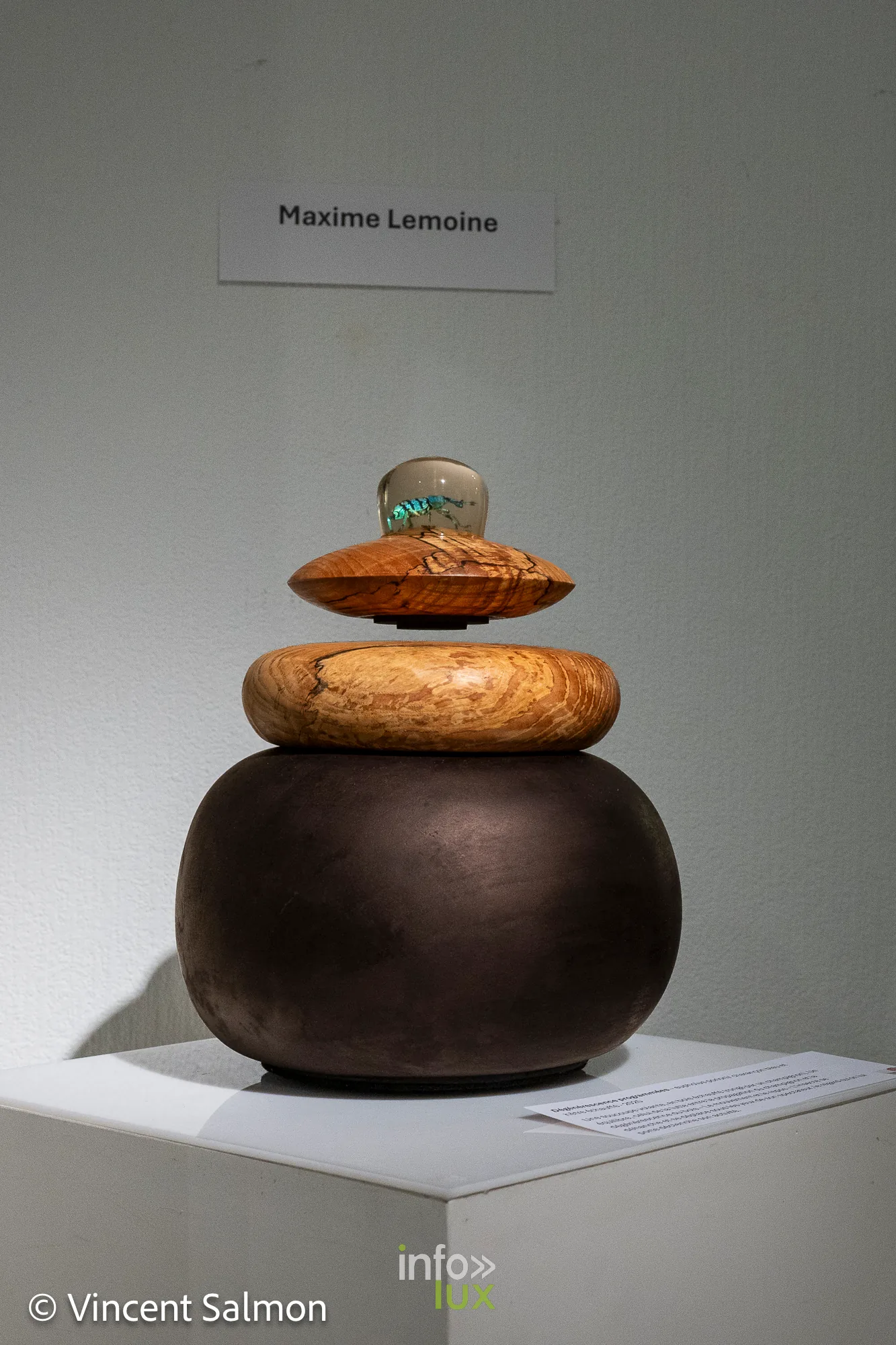 Salon Découvertes, Galerie Liehrmann, Liège, 2026 : Œuvre en bois de Maxime Lemoine (photo Vincent Salmon)
