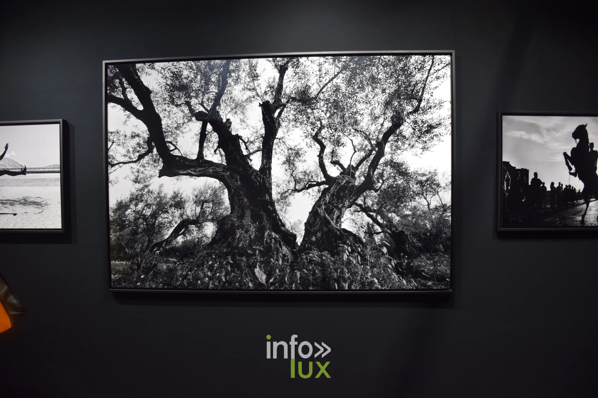 Salon Photo & Vidéo 2026, Grande Halle de la Villette, Paris : Un tirage en noir et blanc exposé