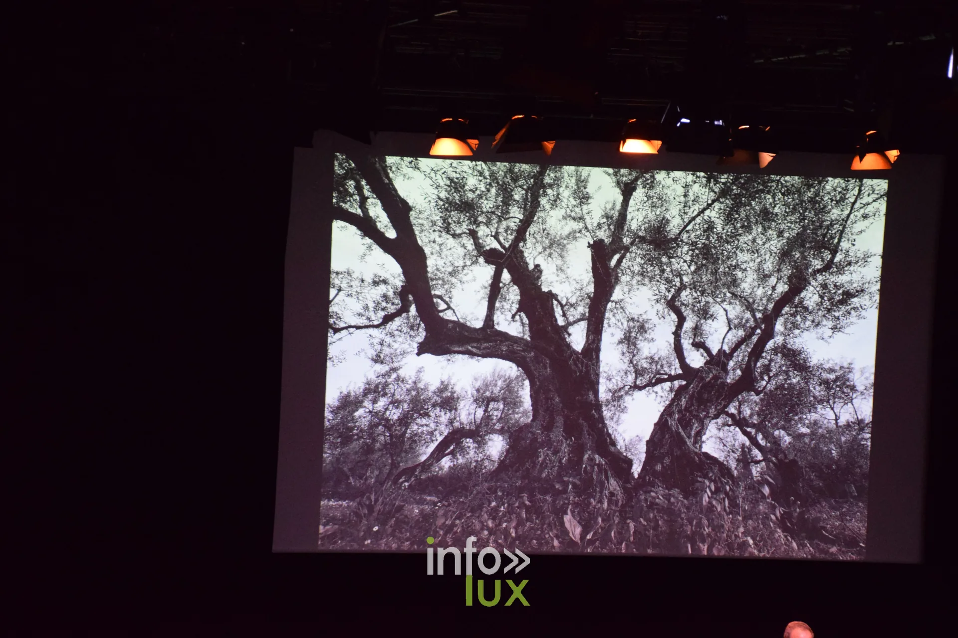 Salon Photo & Vidéo 2026, Grande Halle de la Villette, Paris : Une image projetée pendant la Grande Rencontre avec Nikos Aliagas, animée par Sophie Bernard