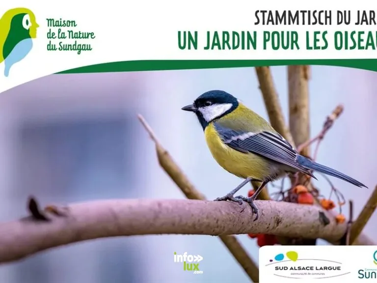 Altenach > Événement > Stammtisch – Un jardin pour les oiseaux