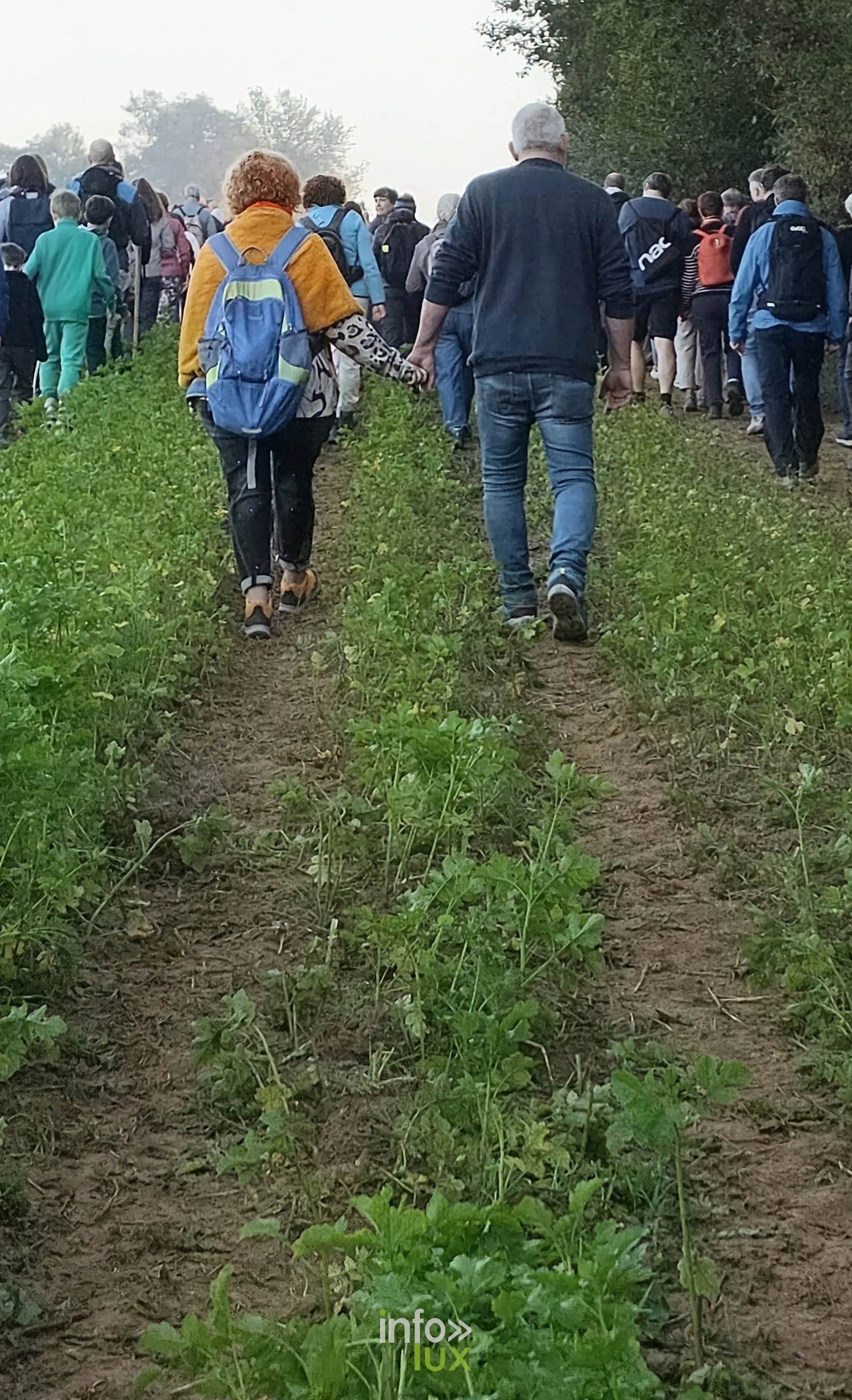 750e Tour Sainte-Gertrude, Nivelles, 4 octobre 2026 : Les marcheurs dans la campagne nivelloise