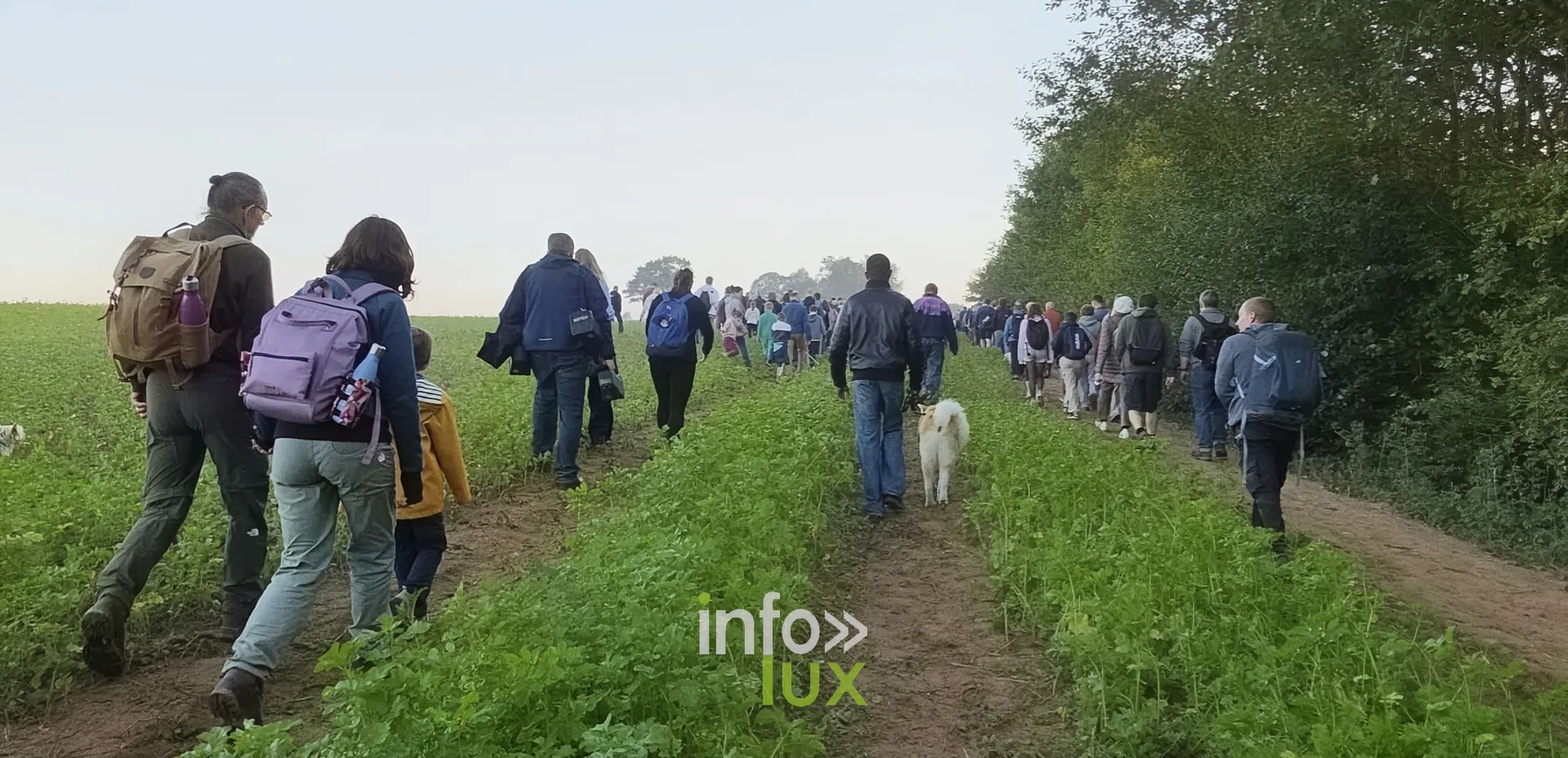 750e Tour Sainte-Gertrude, Nivelles, 4 octobre 2026 : Les marcheurs dans la campagne nivelloise