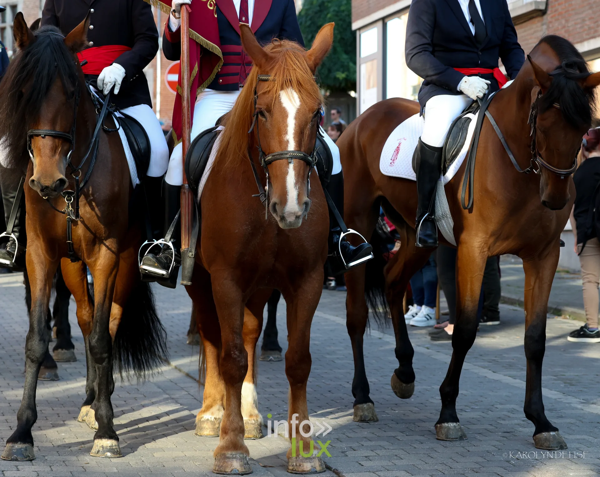 750e Tour Sainte-Gertrude, Nivelles, 4 octobre 2026 : Les cavaliers et les attelages de la rentrée