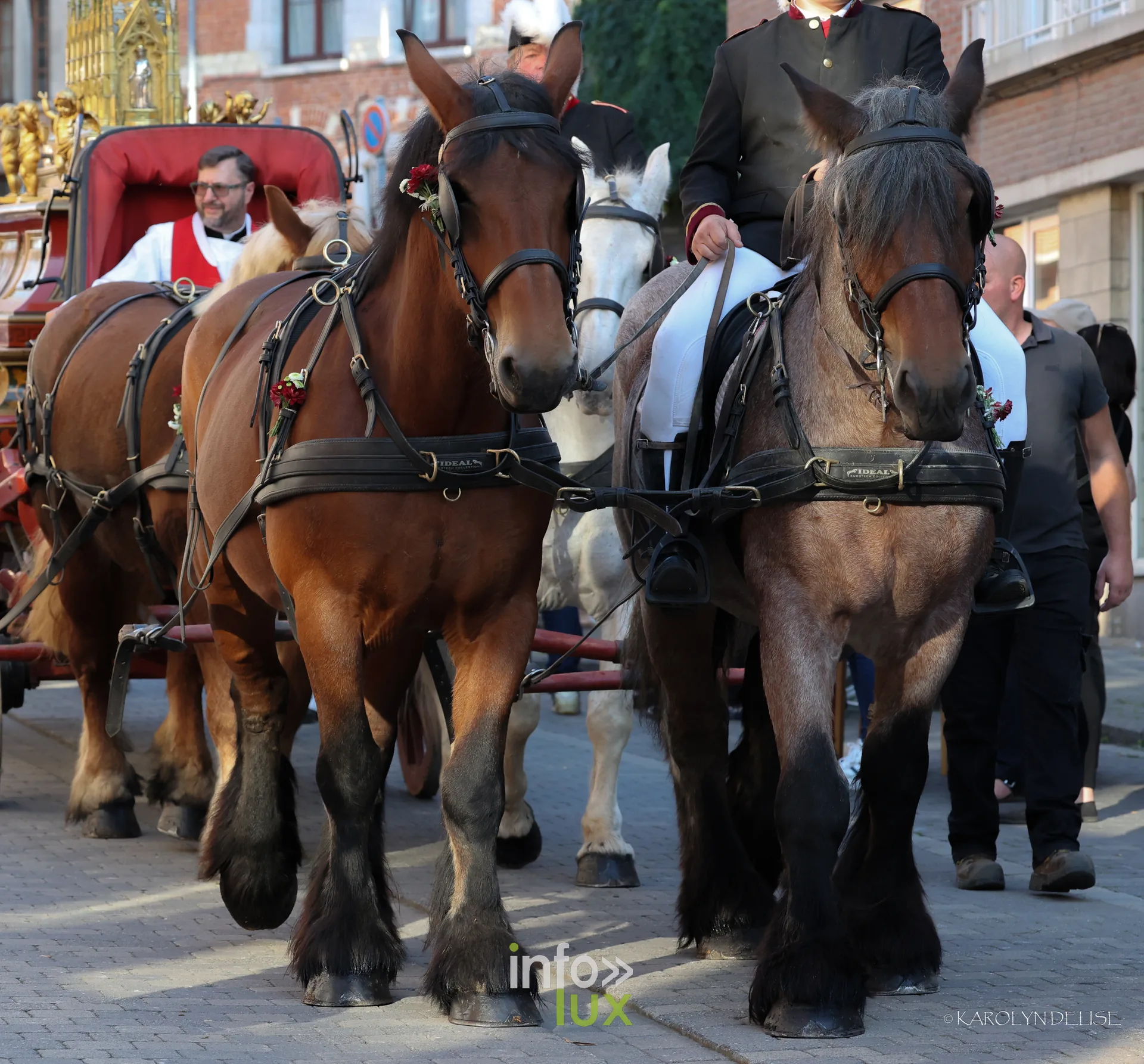 750e Tour Sainte-Gertrude, Nivelles, 4 octobre 2026 : Les cavaliers et les attelages de la rentrée