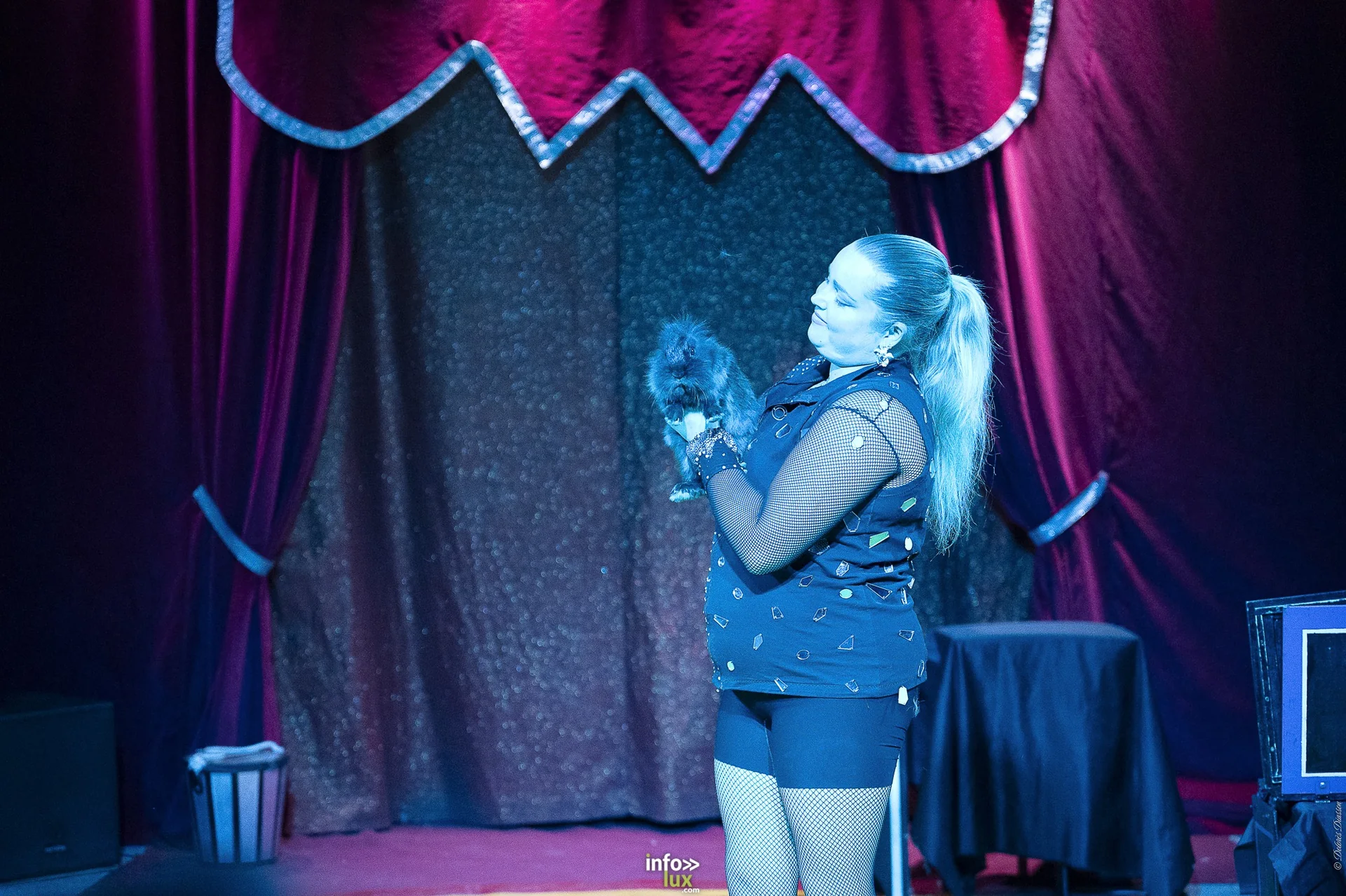 Univers Circus à Saint-Hubert, septembre 2026 : clown, équilibriste, jongleur, cerceaux et numéro de chien sous le chapiteau