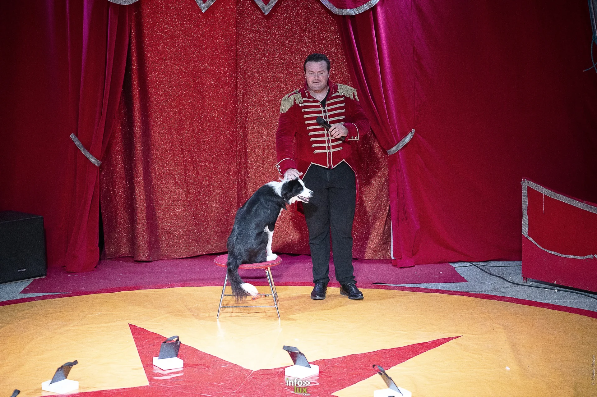 Univers Circus à Saint-Hubert, septembre 2026 : clown, équilibriste, jongleur, cerceaux et numéro de chien sous le chapiteau
