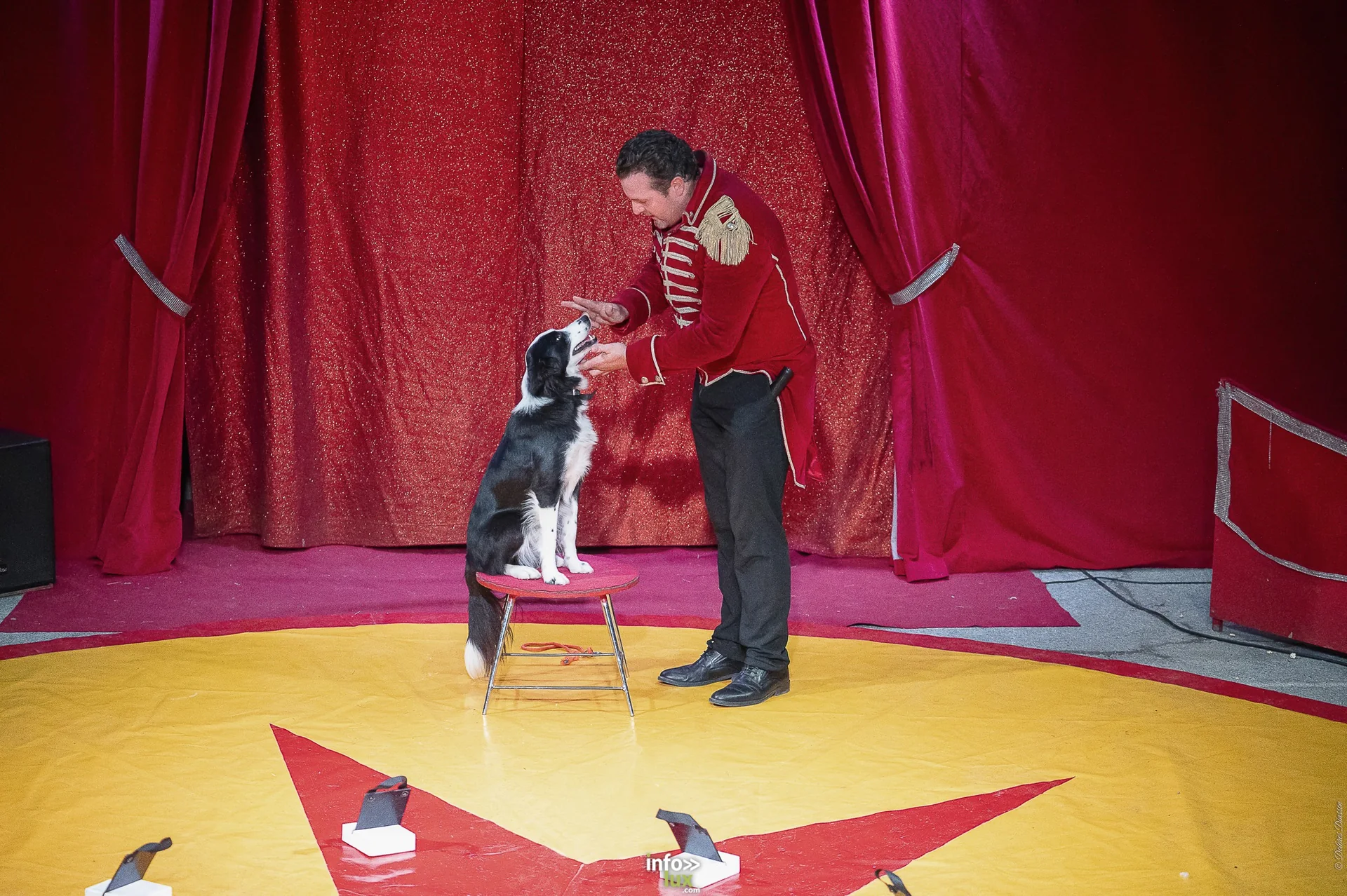 Univers Circus à Saint-Hubert, septembre 2026 : clown, équilibriste, jongleur, cerceaux et numéro de chien sous le chapiteau