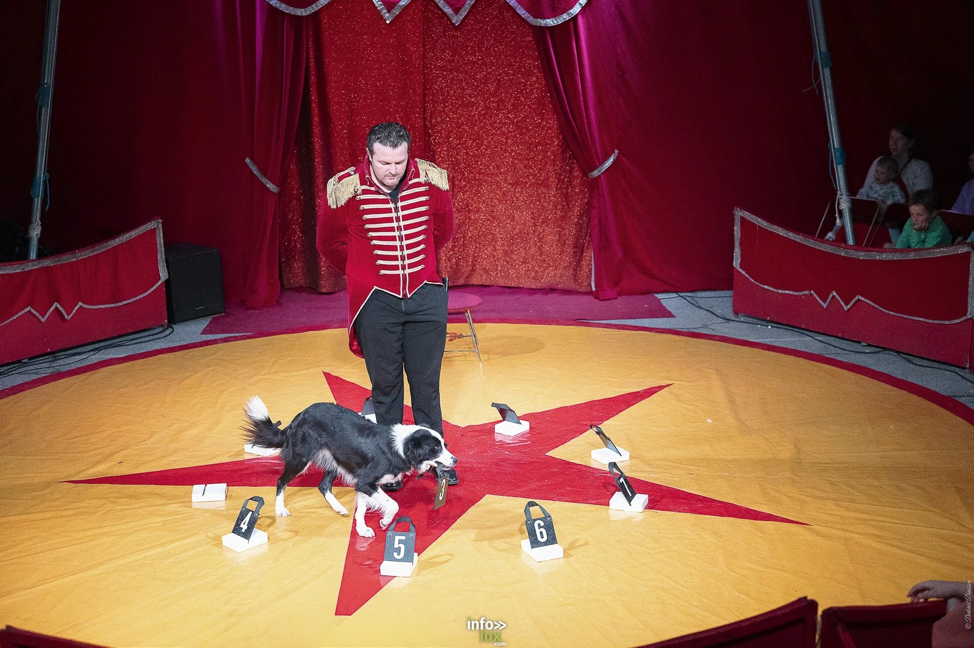 Univers Circus à Saint-Hubert, septembre 2026 : clown, équilibriste, jongleur, cerceaux et numéro de chien sous le chapiteau
