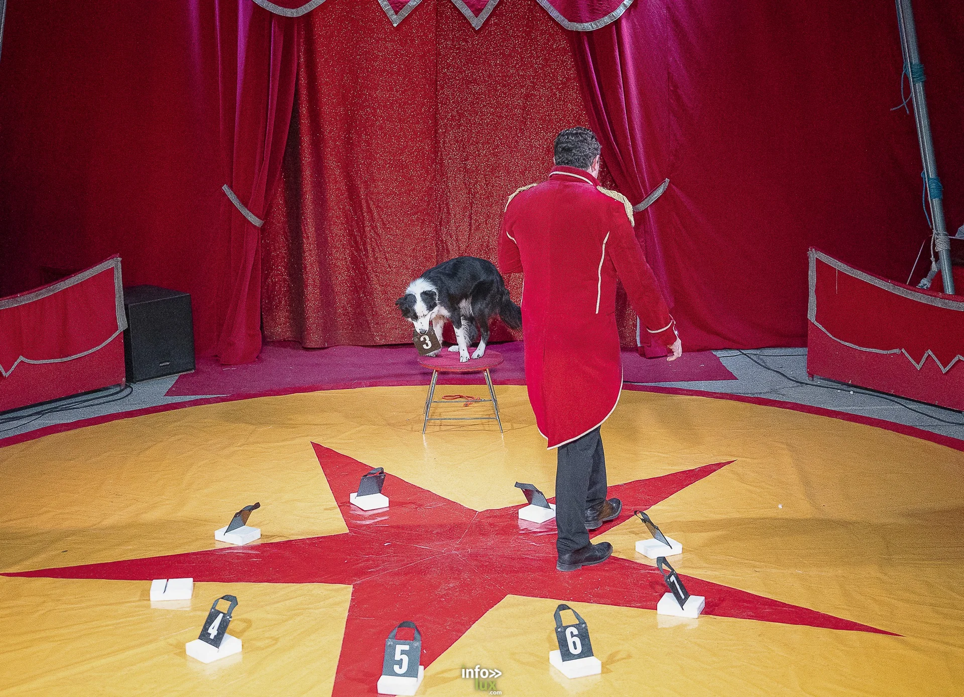 Univers Circus à Saint-Hubert, septembre 2026 : clown, équilibriste, jongleur, cerceaux et numéro de chien sous le chapiteau