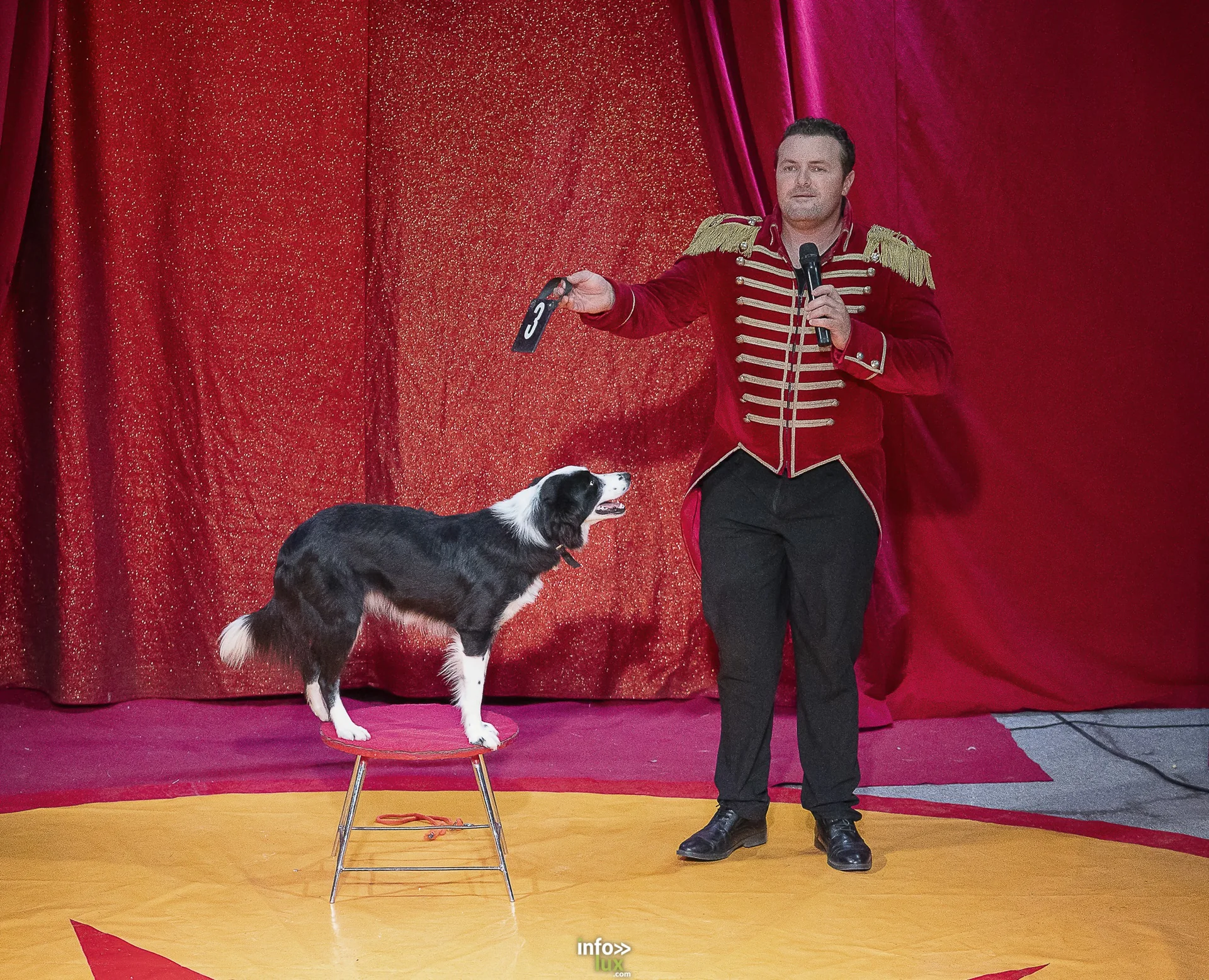 Univers Circus à Saint-Hubert, septembre 2026 : clown, équilibriste, jongleur, cerceaux et numéro de chien sous le chapiteau