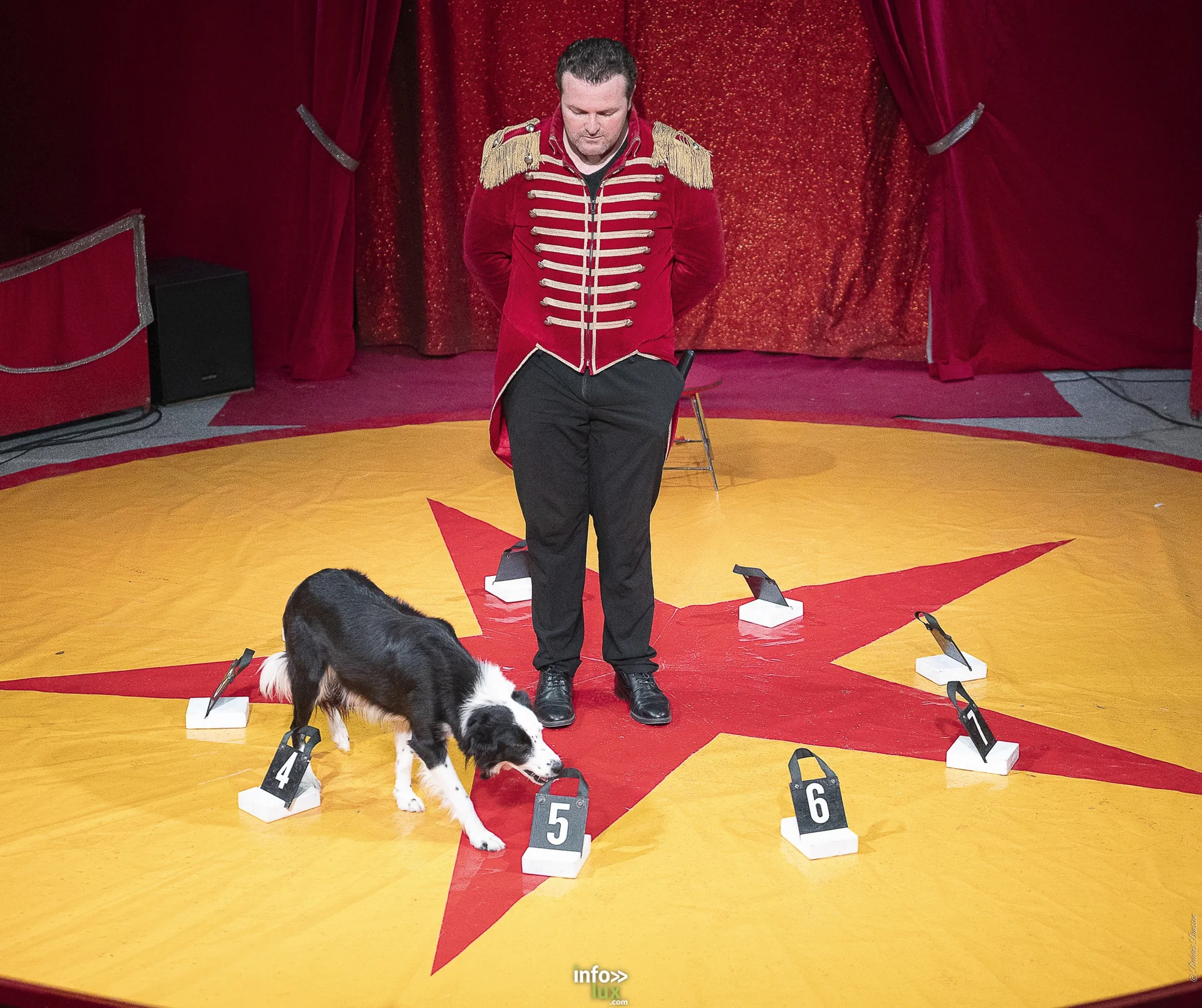 Univers Circus à Saint-Hubert, septembre 2026 : clown, équilibriste, jongleur, cerceaux et numéro de chien sous le chapiteau