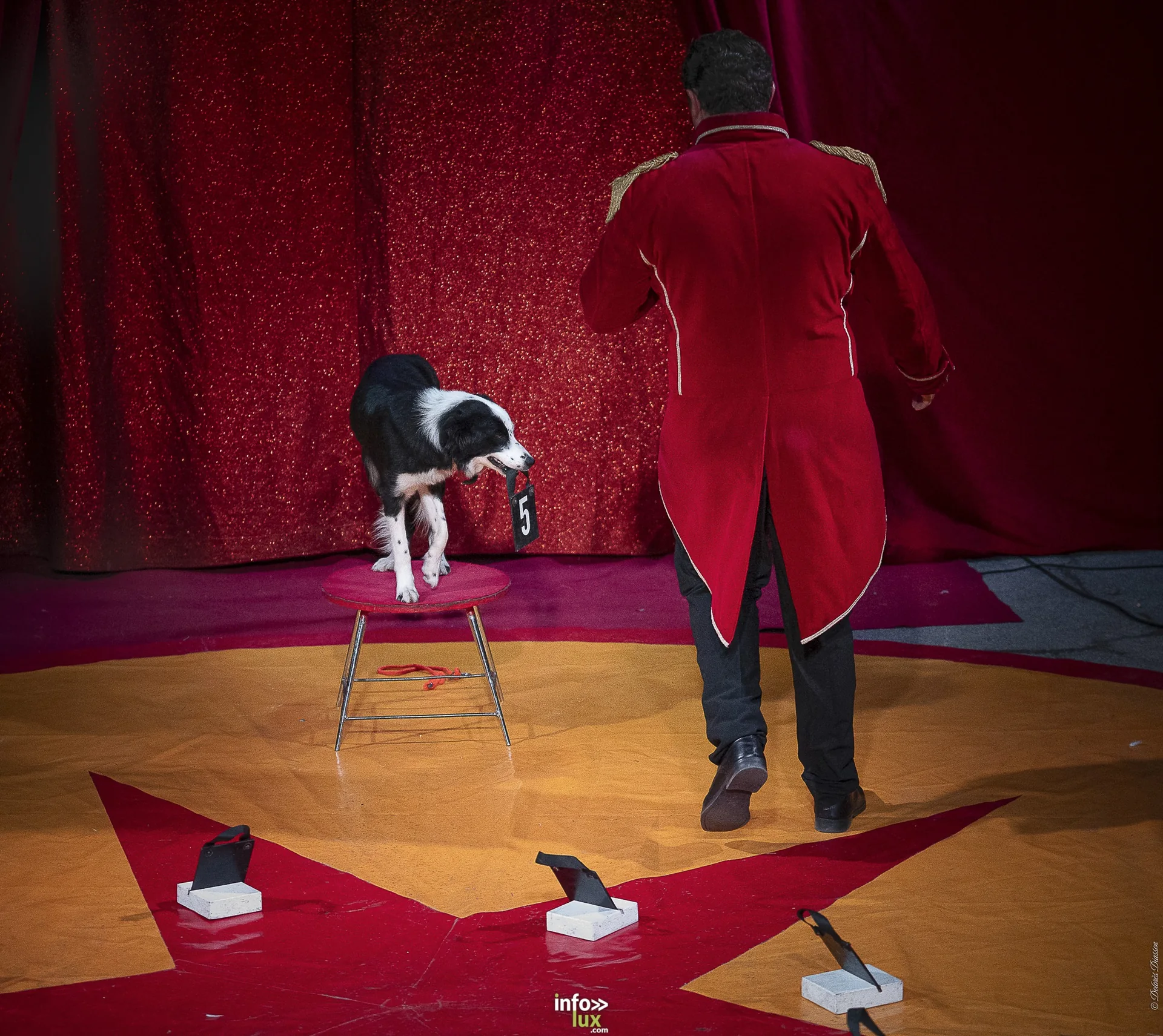 Univers Circus à Saint-Hubert, septembre 2026 : clown, équilibriste, jongleur, cerceaux et numéro de chien sous le chapiteau