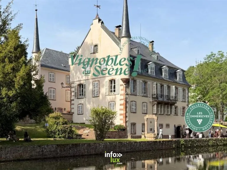 Ottrott > Visite guidée > Vignobles en scène Alsace : Notes de musique et aromatiques au Château