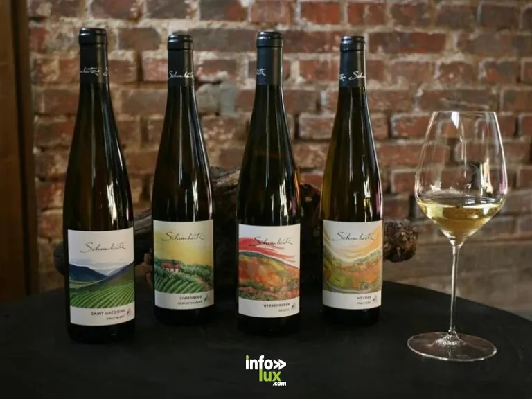 Wihr-au-Val > Dégustation > Vignobles en scène : Crémant & art au Domaine Schoenheitz