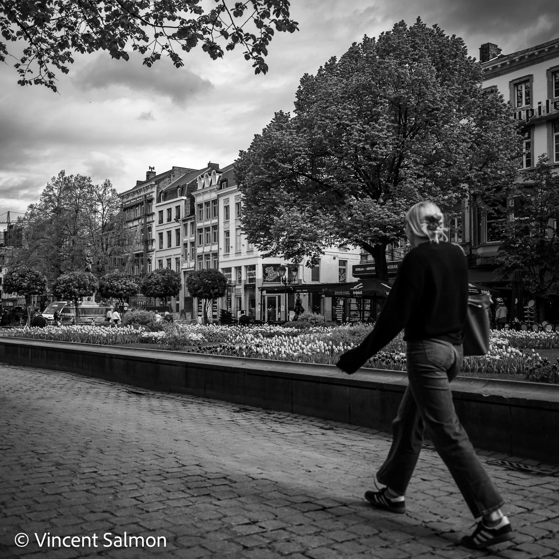 Photo de Vincent Salmon : un passant le long d’un parterre fleuri d’un boulevard