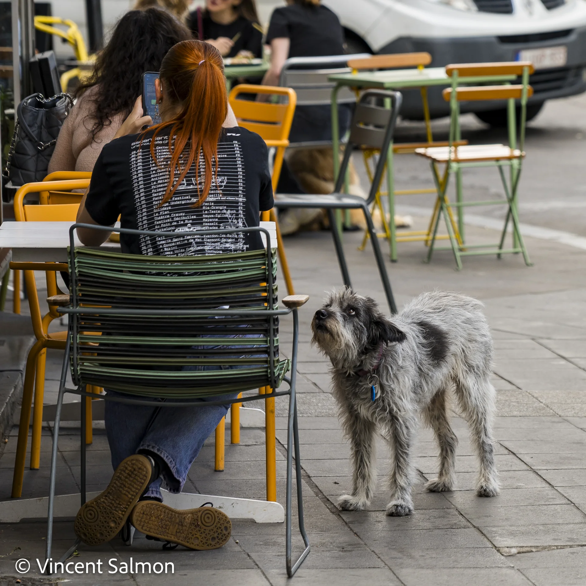 Photo de Vincent Salmon : un chien et une cliente à une terrasse de café