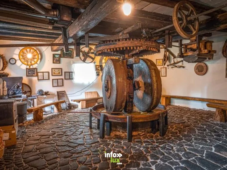 Visite et démonstration du moulin à huile à Lembach
