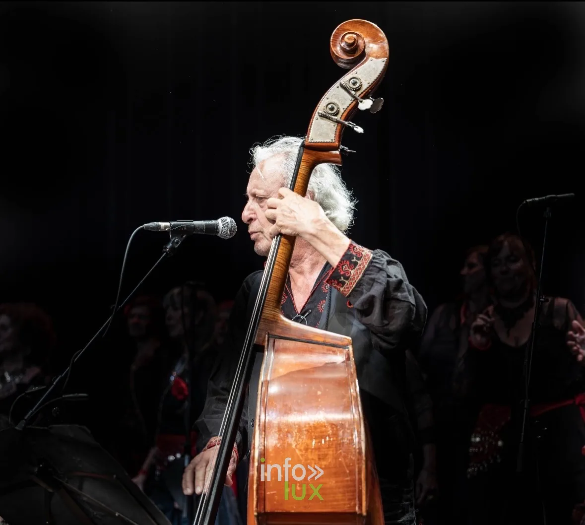 Contrebassiste au micro sur scène, photo VK Photographie (Vladislav Kry)