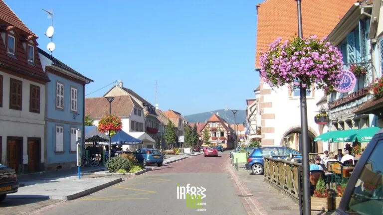 Châtenois > Visite guidée > Visite : rucher des trois châteaux