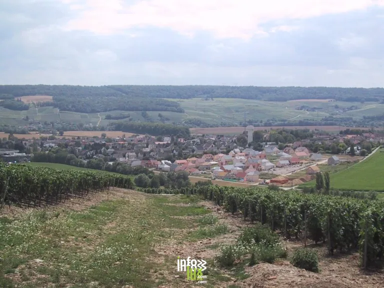 Damery > Dégustation > Vignobles en Scène : A l’aveugle et en gourmandise au Champagne Caillez Lemaire