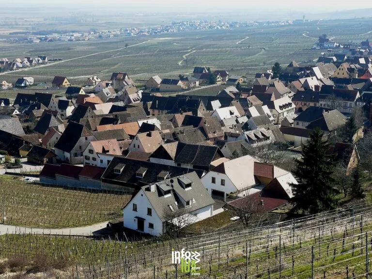 Gueberschwihr > Dégustation > Vignobles en Scène Alsace: Masterclass Vivez les accords Foies Gras-Vins bio avec leurs producteurs
