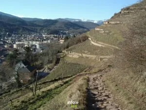 Habiter les paysages ordinaires — Guebwiller Habiter les paysages ordinaires — Guebwiller