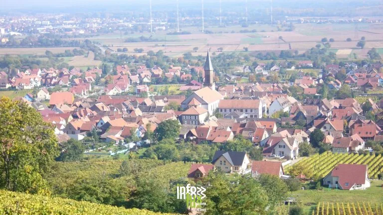 Kintzheim > Fête > Semaine de la conservation