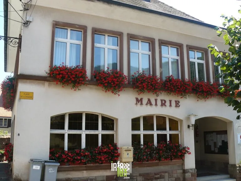 Reichsfeld > Dégustation > Vignobles en scène Alsace: Dégustation de vin théâtralisée