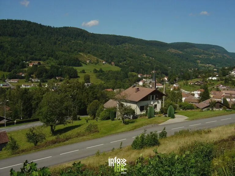 Saint-Maurice-sur-Moselle > Brocante > Grande bourse aux skis