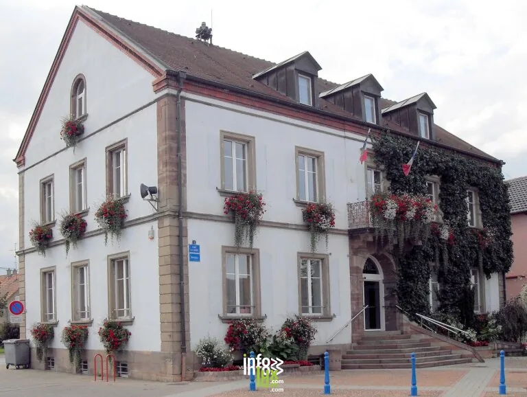 Ungersheim > Balade > Rendez-vous nature : Les champignons