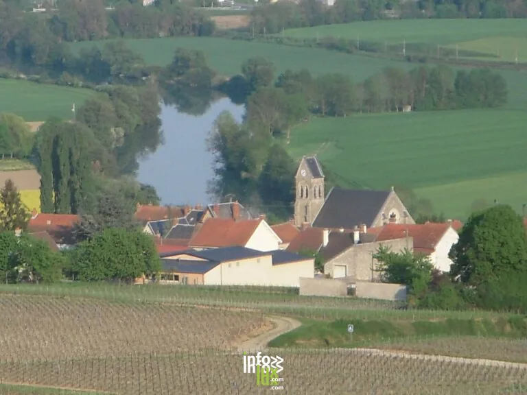 Vincelles > Concert > Vignobles en scène : concert jazz et art de vivre en Champagne