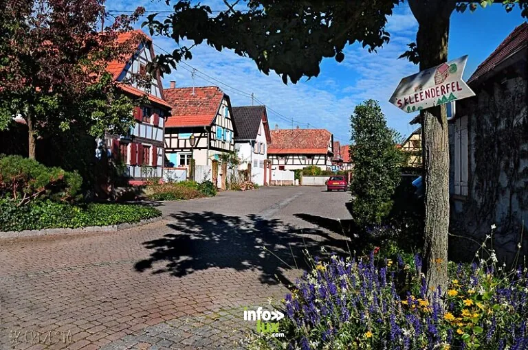 Weyersheim > Exposition > Exposition artistique et culturelle
