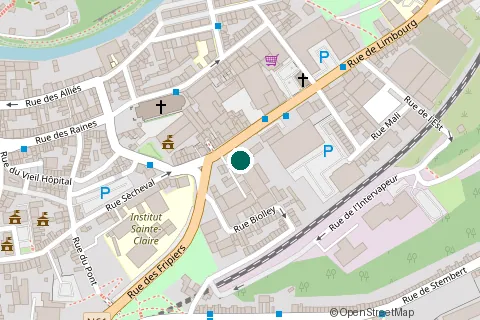 Plan de situation : Hôtel de Biolley