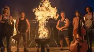 STEVE'N'SEAGULLS, visuel officiel