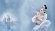 Swan Lake - Ballet and Orchestra, visuel officiel