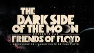 The Dark Side of the Moon - Live in Concert, visuel officiel