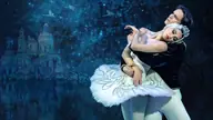 Swan Lake – Ballet and Orchestra – 2027 Tour, visuel officiel