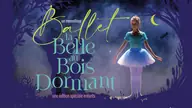 A special children's edition : Sleeping Beauty, visuel officiel