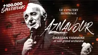 Aznavour - The Tribute Concert, visuel officiel