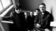 THE CHAMELEONS, visuel officiel